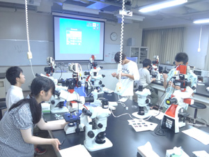 Hokudai Open Campus, Lab program for high school students