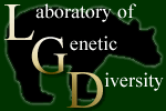 遺伝的多様性研究室