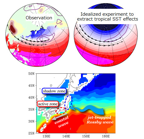 Winter jet stream over Japan and the Earth surface,and Result of atmospheric simulations with an aqua planet and with idealized tropical sea surface temperature distribution