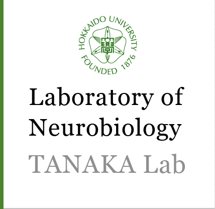 Laboratory of Neurobiology, TANAKA Lab
