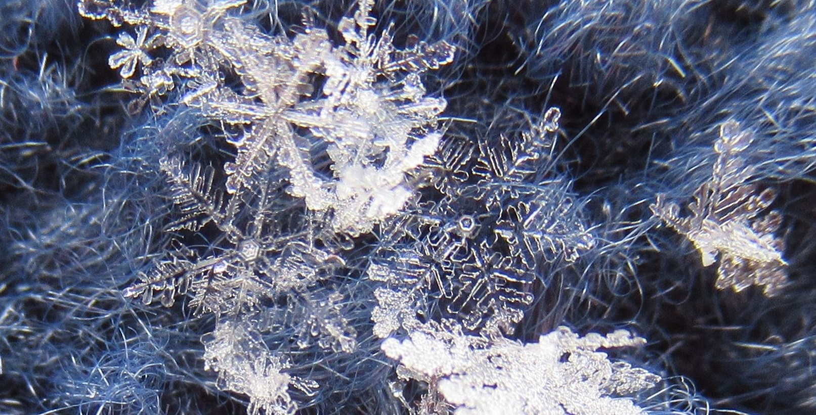 beautiful snow crystals