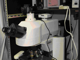 正立蛍光顕微鏡