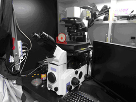 倒立蛍光顕微鏡