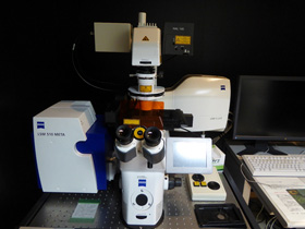 共焦点レーザー顕微鏡
