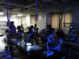 Practice course for fluorescence microscopy